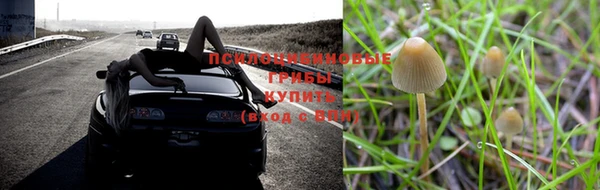 скорость mdpv Лиски