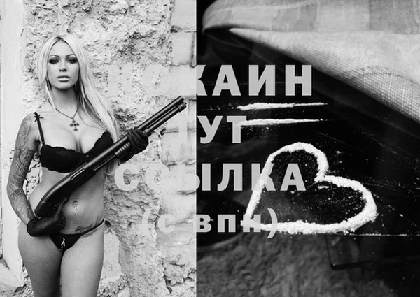 прущие грибы Лабытнанги